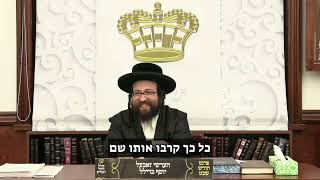 ליהודי כשר יש חיים יפים מאד | הרב יואל ראטה שליט"א (הרב יואל ראטה) - התמונה מוצגת ישירות מתוך אתר האינטרנט יוטיוב. זכויות היוצרים בתמונה שייכות ליוצרה. קישור קרדיט למקור התוכן נמצא בתוך דף הסרטון