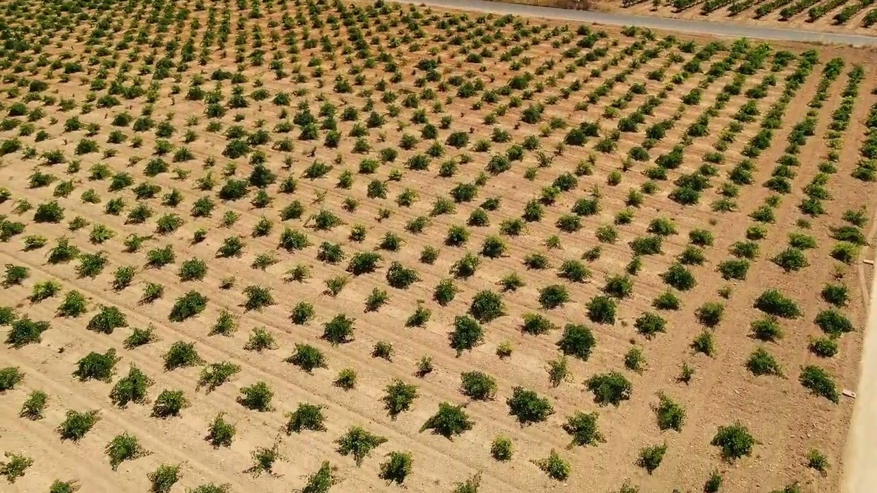 Chozo (Guardaviñas) típico de Villarrobledo