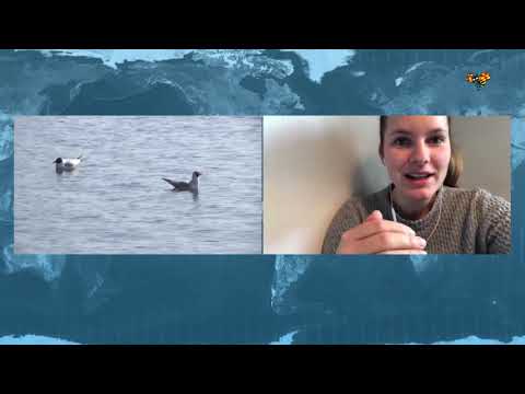 "Då slogs värmerekordet för oktober"