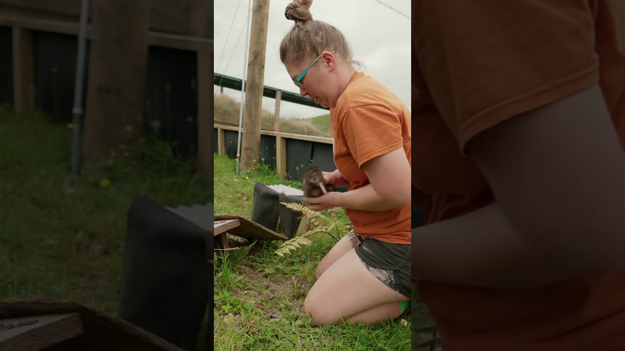 YouTube Short thumbnail