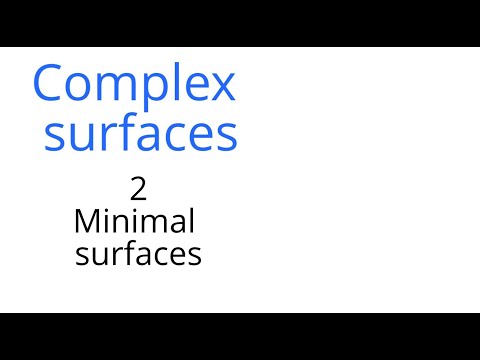 Complex surfaces 2: Minimal surfaces