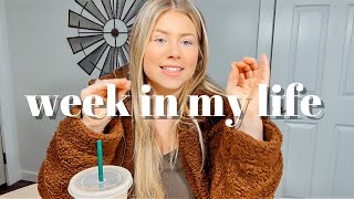 WEEK IN MY LIFE | doing fun fall activities + SAHM life + Freebeat Litbike Unboxing + Review