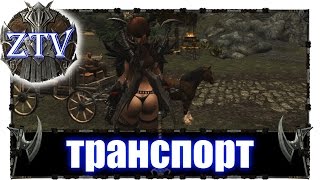 Моды на Скайрим ► Транспорт \\ ZTV