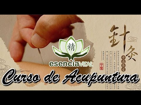 Epilepsia  tratamiento de Acupuntura curso online .- 13