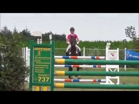 Turniervideo 2 Carsandra zum Verkauf