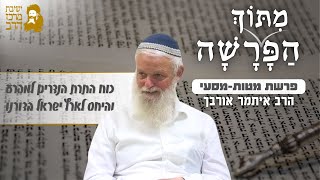 הרב איתמר אורבך | פרשת מטות - מסעי | כוח התרת הנדרים למפרע והיחס לארץ ישראל בדורנו | כ"ח תמוז תשפ"ה (ישיבת מרכז הרב) - התמונה מוצגת ישירות מתוך אתר האינטרנט יוטיוב. זכויות היוצרים בתמונה שייכות ליוצרה. קישור קרדיט למקור התוכן נמצא בתוך דף הסרטון הרב איתמר אורבך | פרשת מטות - מסעי | כוח התרת הנדרים למפרע והיחס לארץ ישראל בדורנו | כ"ח תמוז תשפ"ה (ישיבת מרכז הרב) - התמונה מוצגת ישירות מתוך אתר האינטרנט יוטיוב. זכויות היוצרים בתמונה שייכות ליוצרה. קישור קרדיט למקור התוכן נמצא בתוך דף הסרטון
