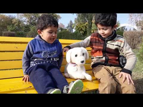 Muhammad & Hamid with Dog 😀😀😀