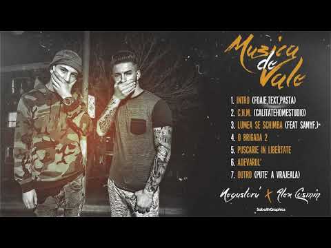 HiddenSick X Negustoru' - Intro ( Foaie,Text,Pasta )