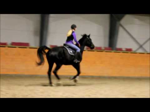 Sprangtrening 19.01.17