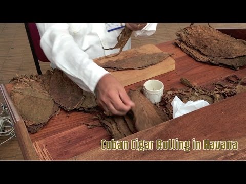 Видео Слайд