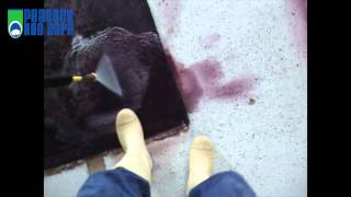 How To Fix Dye Bleed in Persian Rugs