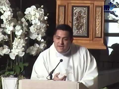 Evangelio y Homilía. San Mateo 11, 25 - 30.