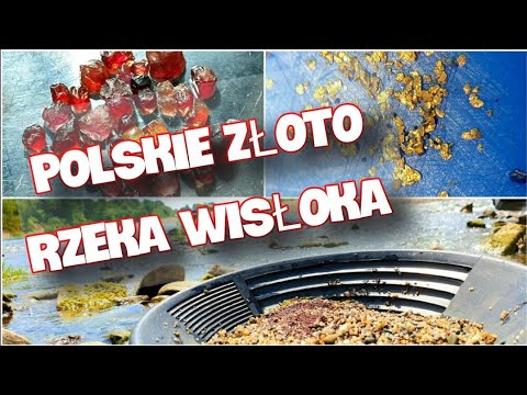 Polskie Złoto na wschodzie - rzeka Wisłoka
