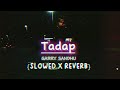 Tadap - Garry Sandhu {Slowed X Reverb} Punjabi Song
