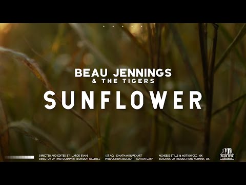 Beau Jennings & The Tigers - Sunflower (Official Music Video)