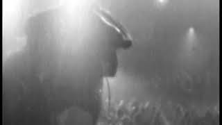 Van der Graaf Generator - &quot;Octopus&quot;