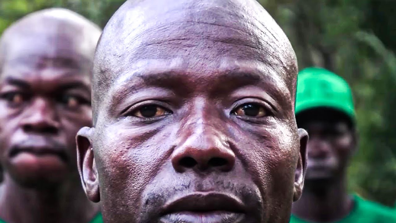 How is the Scourge of Poaching Destroying Cameroon? | Full Documentary