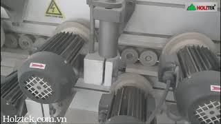 MÁY ĐÁNH BÓNG CẠNH TỰ ĐỘNG 8 TRỤC CHỔI HOLZTEK PRO-BR8