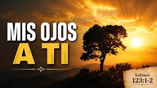 Miniatura del video: El versiculo del dia .com - Salmos 123 v1-2