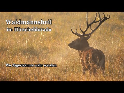 Waidmannsheil im Hirscheldorado