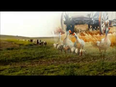 Mehmet TANTIS~ KUYUNUN BASINA BOZ YILAN GELiR(BY03)