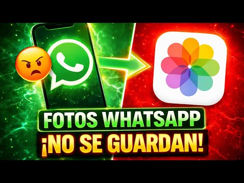Cómo Evitar que las Fotos de WhatsApp se Guarden en la Galería del Teléfono