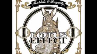 LOTUS EFFECT - Fireflies