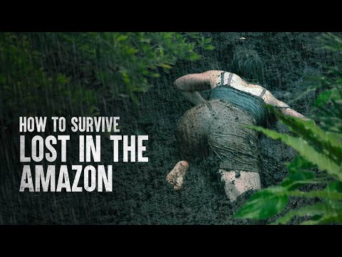 Lost In The Amazon - How To Survive Being In The Jungle