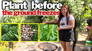 Last Chance Seeds to Sow Before Frost Hits! | Zone 3 Gardening