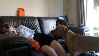 Teen Suffering From Narcolepsy Sleep Up To 10 Times A Day