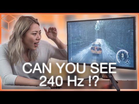 144Hz vs 240Hz - Can you see the difference? ft. ASUS PG258Q Gaming Monitor