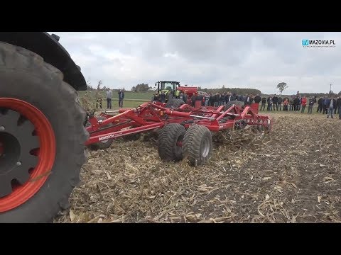 Blokada dla koślawego kciuka Jak pozbyć się stłuczki wokół dużego palca