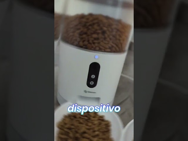 Vídeo relacionado con CÁDIZ CF - Comedero Perro y Gato, Acero Inoxidable, antideslizante, Resistente, 22 x 22 x 5 cm, Color Azul, con Escudo del Equipo, Producto Oficial (CyP Brands)