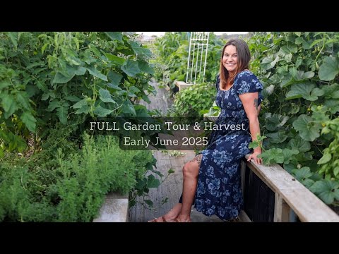Full Garden Tour & Harvest | Early June 2025