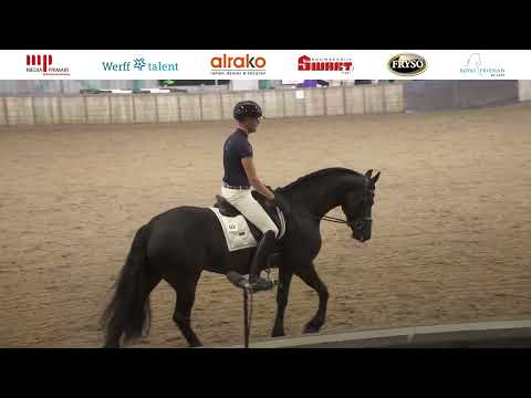 CK 2024 | Finale Fryso Florian bokaal dressuuraanleg 5-jarigen | 13 september 2024