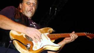 Walter Trout - If You Just Try