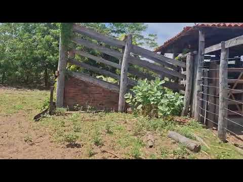 Faz á venda em Wanderley - Ba 