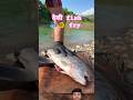 देशी fish fry jungle me #fishing #cooking #eating #shortsfeed #shorts