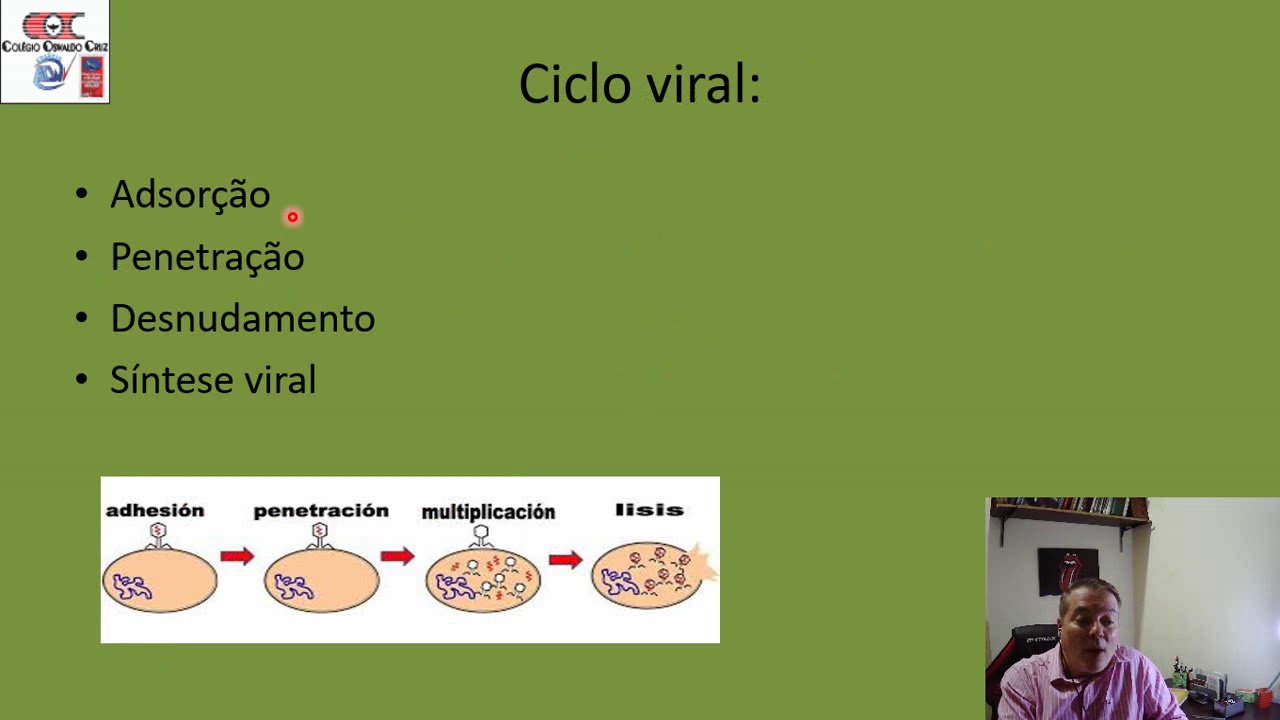 Microbiologia   Aula 03   Ciclo e replicação viral   Vídeo aula