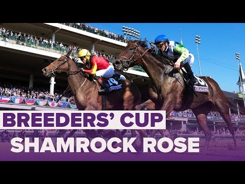 SHAMROCK ROSE wins Filly & Mare Sprint | Breeders' Cup 2018