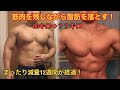 【まったり12週間が経過!】筋肉を残しながら減量できるのか?