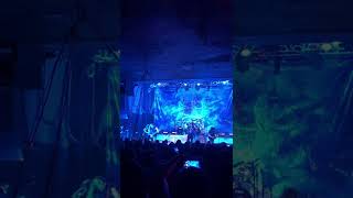 Testament - True Believer