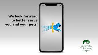 TeleVet app instruction