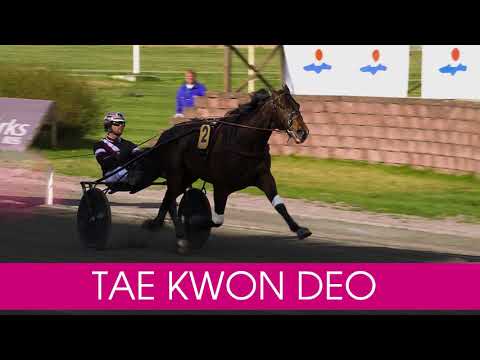 Välkommen till Elitloppet 2020 Tae Kwon Deo!