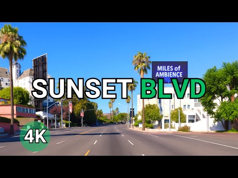 Driving Sunset Blvd - Raw Uncut Los Angeles Drive (4K 60FPS)