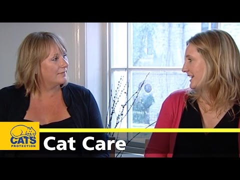 Toxoplasmosis - Don't believe the old wives' tales