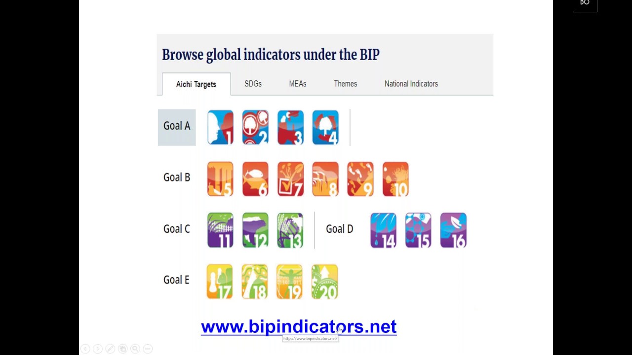 Biodiversity Indicators Partnership (BIP) – 6NR Webinar Series