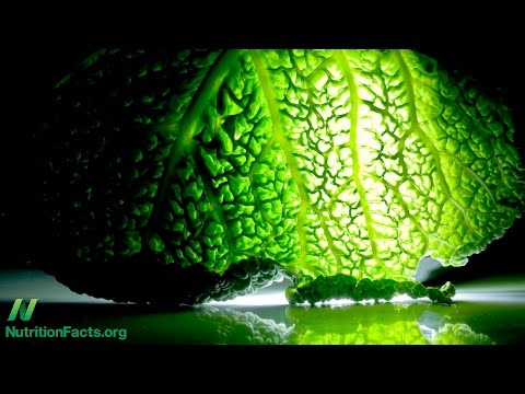 How to Prevent Alzheimer s With Diet