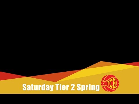 Lights Out vs 519 | Saturday Tier 2 - Tcbl 2019 Spring