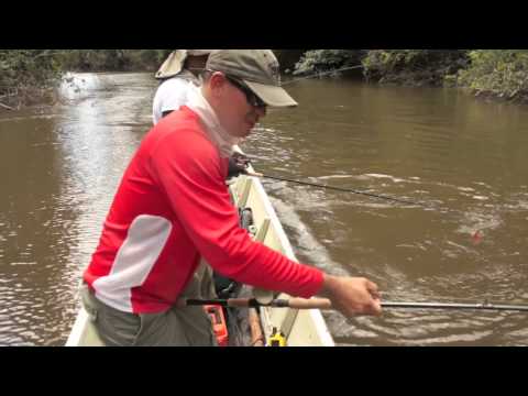 FISH FINDER WOLF FISH 2013